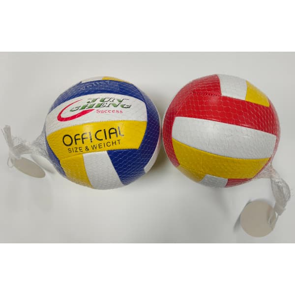 010702 Minge volei